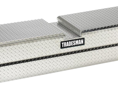 Tradesman Aluminum Cross Bed Truck Tool Box (60in.) - Brite For Cheap